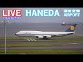 【LIVE】 24/11/5 羽田空港 HANEDA AIRPORT  plane spotting