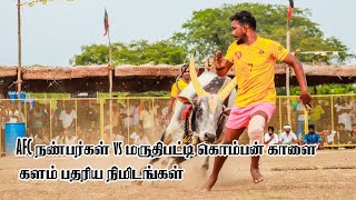 அய்லாங்குடி வடமாடு _AFC நண்பர்கள் vs மருதிபட்டி கொம்பன் காளை களம் பதரிய நிமிடங்கள் /2023.7.16