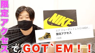 【SNKRS】限定アクセスで”POLLEN”をGOT`EM！！