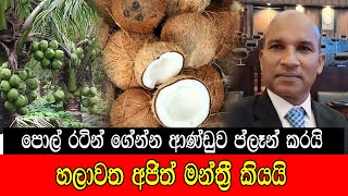 #mojonewslk පොල් රටින් ගෙන්න ආණ්ඩුව ප්ලෑන් කරයි හලාවත අජිත් මන්ත්‍රී කියයි