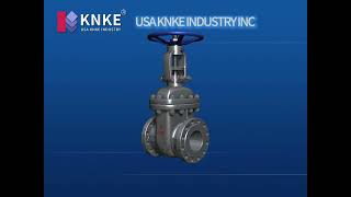 Gate Valve | KNKE Global