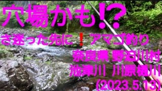 2023.5.13 奈良県 野迫川村のアマゴ釣り(川原樋川、川股川、池津川)  5月アマゴは美しい‼