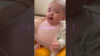 【衝撃】初めてリンゴを食べた0歳児の反応が可愛すぎた #赤ちゃん #0歳 #baby #女の子baby #可愛い #リンゴ #食事 #shorts