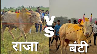 BULL FIGHT/ RAJA  VS  BUNTY  | WIN KING BUNTY 😈👑