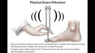 Brief Physical Examination for Peripheral Neuropathy