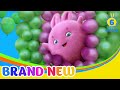 SUNNY BUNNIES - Little Builders | BRAND NEW EPISODE | Season 6 | Cartoons for Children