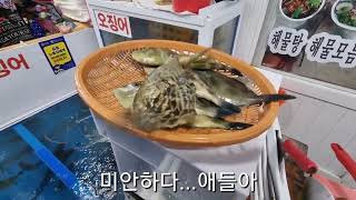 통영중앙시장 쥐치회와 해산물 먹기(똘이네회초장)