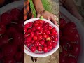 ஒரே செடியில் தட்டு நிறைய cherry பழம் காய்க்குமா cherry fruit harvest in my garden