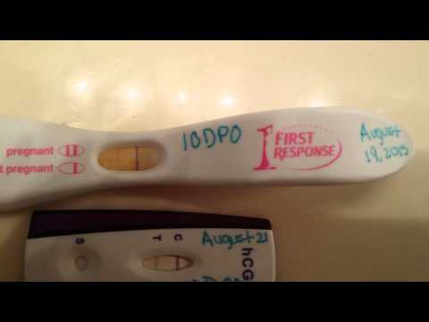 VERY early POSITIVE PREGNANCY TESTS! (All brands.) VERY early POSITIVE PREGNANCY TESTS! (All brands.)