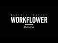 Workflower for After Effects Tutorial 1: Overview