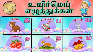 உயிர் மெய் எழுத்துக்கள் |  Uyir mei ezhuthukkal | கஙசஞ வரிசை | Tamil consonants | @AmbuluKutty |