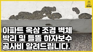 [공까남] 아파트 옥상 조경 벽체 박리 및 들뜸 하자보수 공사비 알려드립니다.