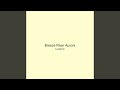 Breeze River Aurora