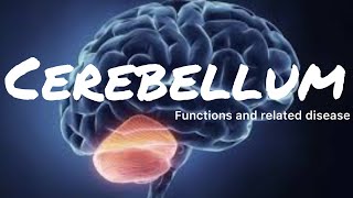 Cerebellum-Function and it’s related diseases!