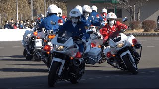 【令和5年茨城県警年頭視閲式】渋いハーレーダビッドソンの白バイ＆サイドカー！個人総合優勝の女性白バイ隊員！交機白バイ迫力のパフォーマンス！航空隊の見事な救出！警察官が体調不良で退場！