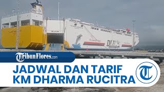 Jadwal Keberangkatan dan Tarif Tiket Kapal Roro KM Dharma Rucitra VII Tujuan Maumere-Surabaya