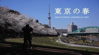 桜の名所 2012【旧中川と隅田川 】Tokyo’s famous sakura spots “ Kyo-nakagawa ” TokyoSkyTree and Cherry