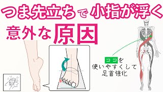 【浮指】つま先立ちすると小指が浮く意外な原因｜肩甲骨との連動を使って体幹強化