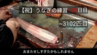 【祝100日目】うなぎの練習~捌き編~(おまたせ)