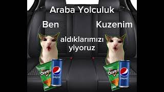 Araba yolculuk #kedi #kediler