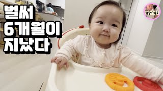 [육아브이로그] 6개월 아기 육아 현실ㅣ말랑이 브이로그 모음집 7