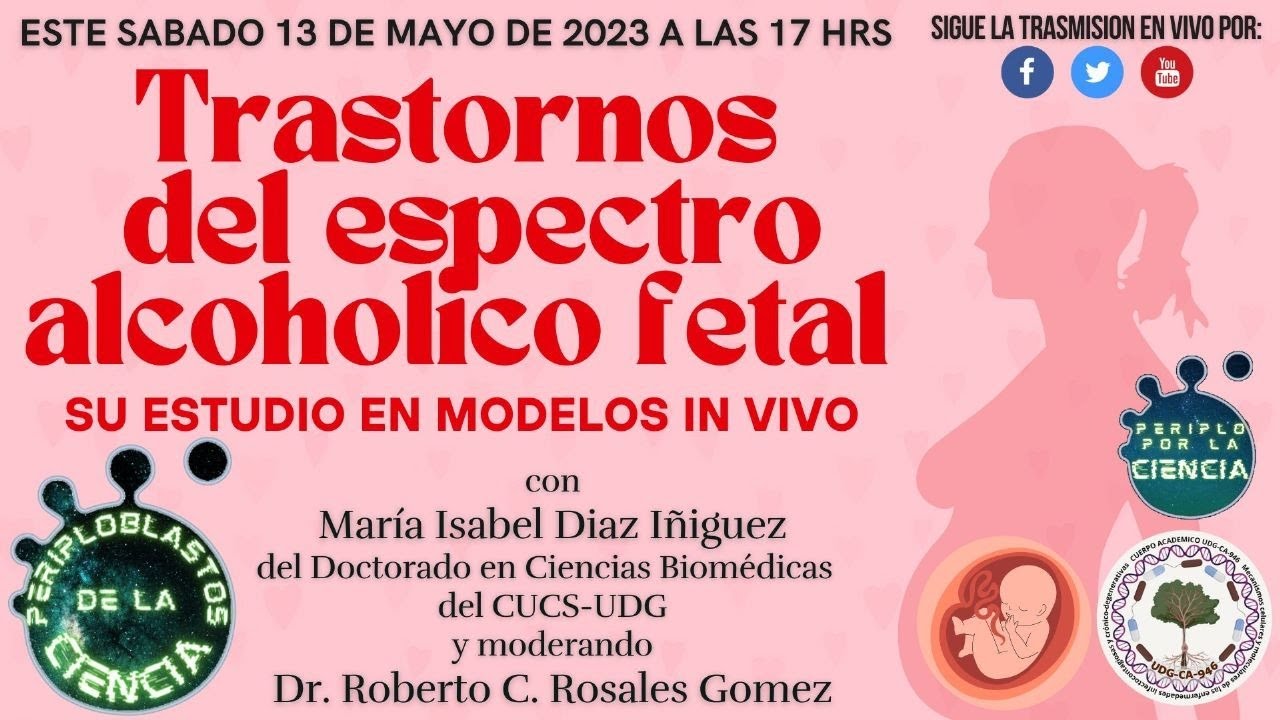 Trastornos Del Espectro Alcohólico Fetal, Su Estudio En Modelos In Vivo ...