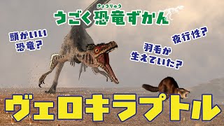 【恐竜】恐竜図鑑〜ヴェロキラプトル〜