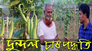 দুন্দল চাষ পদ্ধতি সরাসরি কৃষকের কাছ থেকে  ।। কৃষি ও খামার ।। cultivation