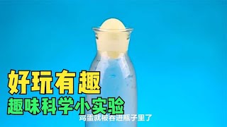 寓教于乐的创意科学小实验，陪孩子一起在实验中认知世界吧！