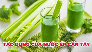 Tác dụng của nước ép cần tây? Nên uống bao nhiêu nước ép cần tây mỗi ngày? - Kênh Hướng Dẫn