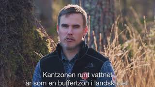Biologisk mångfald i nordiska skogar