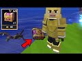 New Mysterious Gift Box Item in BedWars! (Blockman Go)