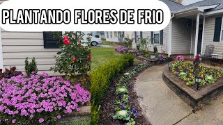 Gran Cambio en el jardin Plantando flores de frio