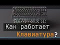 Как работает Клавиатура? [Branch Education на русском]