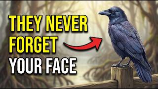 Why Crows Never Forget a Face: The Creepy Truth About Crow Intelligence