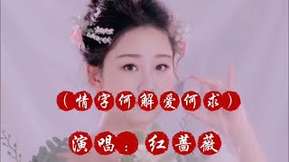 红蔷薇一首情歌（情字何解爱何求）旋律优美，醉人心扉！