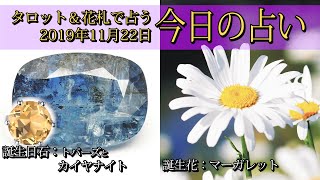 【今日の占い】2019年11月22日の占い【タロット＆花札】