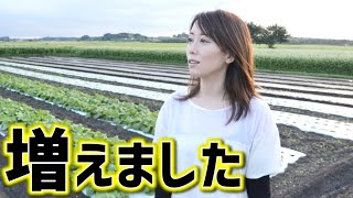 【農業女子】田舎暮らしで畑拡大!?始めてから数年で３倍以上に…【畑】