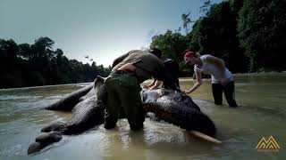 Uncovered Sumatra | Beautiful Indonesia Drone View