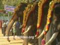 parippali gajamela kodimoottil sree bhagavathi temple kollam