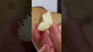 ．艾莉希亞寶石水晶．09 貴州黃文石 Aragonite 黃文石 方解石 鐘乳石 霰石 螢光反應