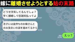 【LINE】「慰謝料払って離婚して」勝手に息子を再婚させようとする姑→嫁から衝撃の事実を告げられと姑の顔が真っ青に…（スカッとする話）