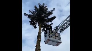 Narrenbaumstellen Fasnet 2021