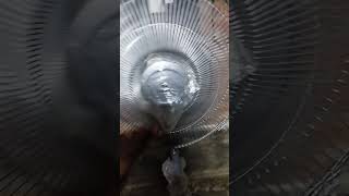 havells stand fan #havellsindia #trending #viral #fans #shortvideo