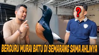 GREBEK PENANGKARAN BURUNG MURAI SUPER TERBAIK DI SEMARANG !!