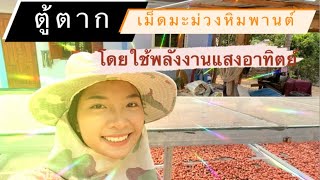 ตู้ตากเม็ดมะม่วง ใช้งบหลัก100 ทำรายได้หลัก100,000