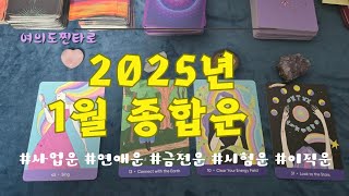 [타로] 1월 종합운