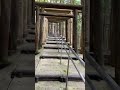 野迫川村にある立里荒神社の鳥居