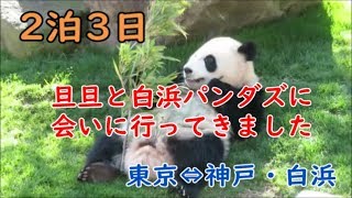 【特別編】2泊3日でタンタンと白浜のパンダたちに会いに行ってきました