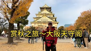 赏秋之旅～来到大阪。登上天守阁，大阪城公园还是挺美的。